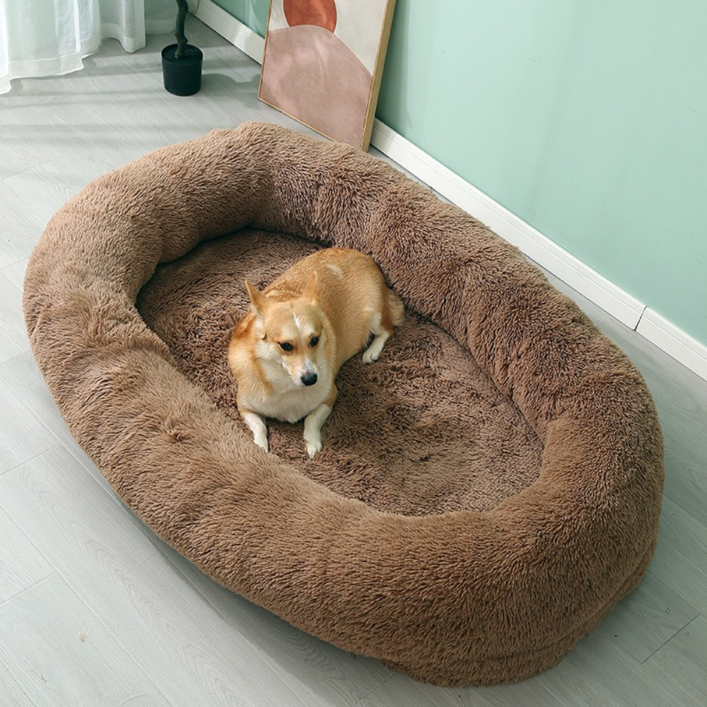 Shaggy Cozy Large Human Dog Bed
