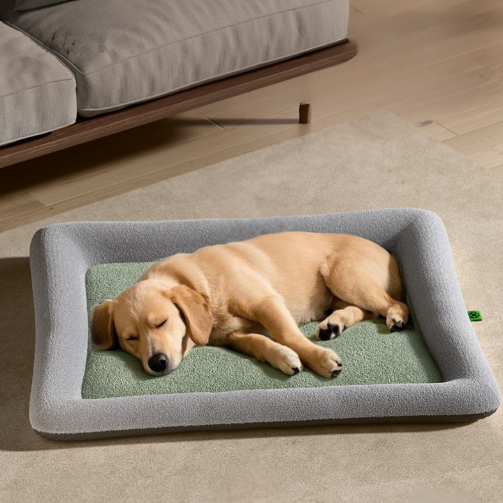 Memory Foam with Plush Cover – Anti-Slip, Orthopedic Comfort Dog Bed