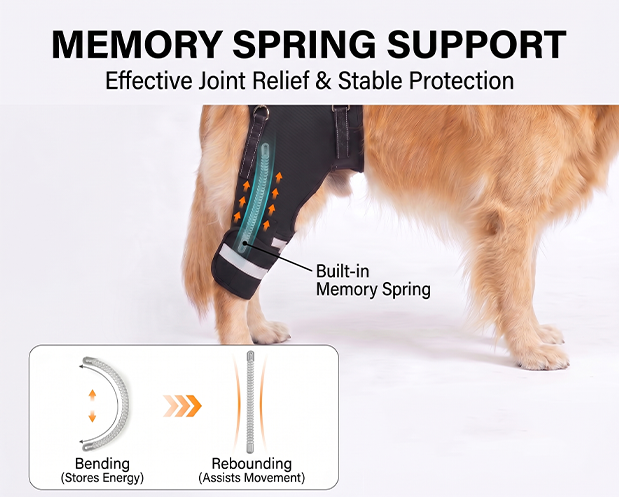 Dog Knee Braces & Dog Leg Braces for Back Leg with Carrying Handle, Reflective Adjustable Velcro Straps for ACL/CCL, Joint Pain and Luxating Patella—Reduces Back Leg Stress