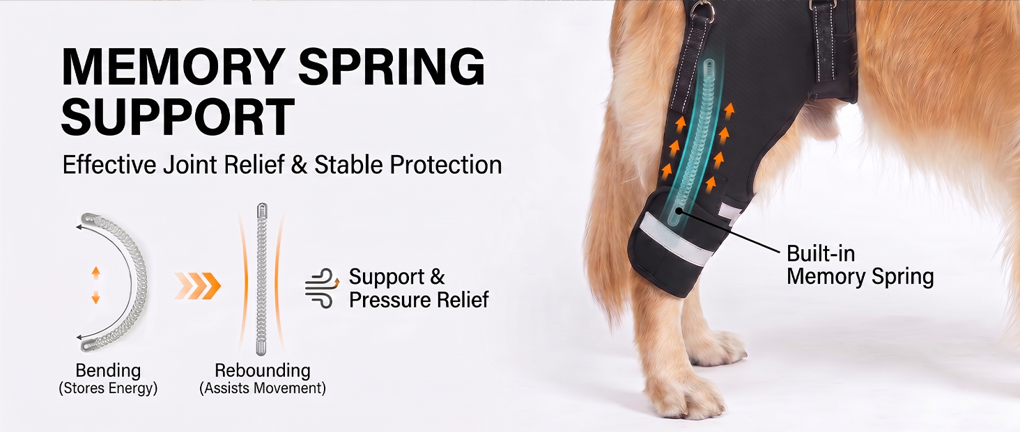 Dog Knee Braces & Dog Leg Braces for Back Leg with Carrying Handle, Reflective Adjustable Velcro Straps for ACL/CCL, Joint Pain and Luxating Patella—Reduces Back Leg Stress