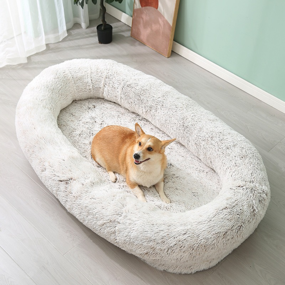 Shaggy Cozy Large Human Dog Bed