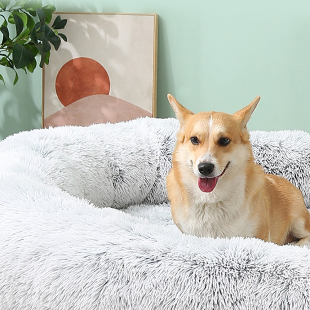 Shaggy Cozy Large Human Dog Bed