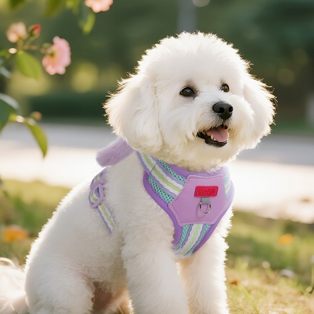 Lightweight Colorblock Dog Harness with Plush Monster Charm