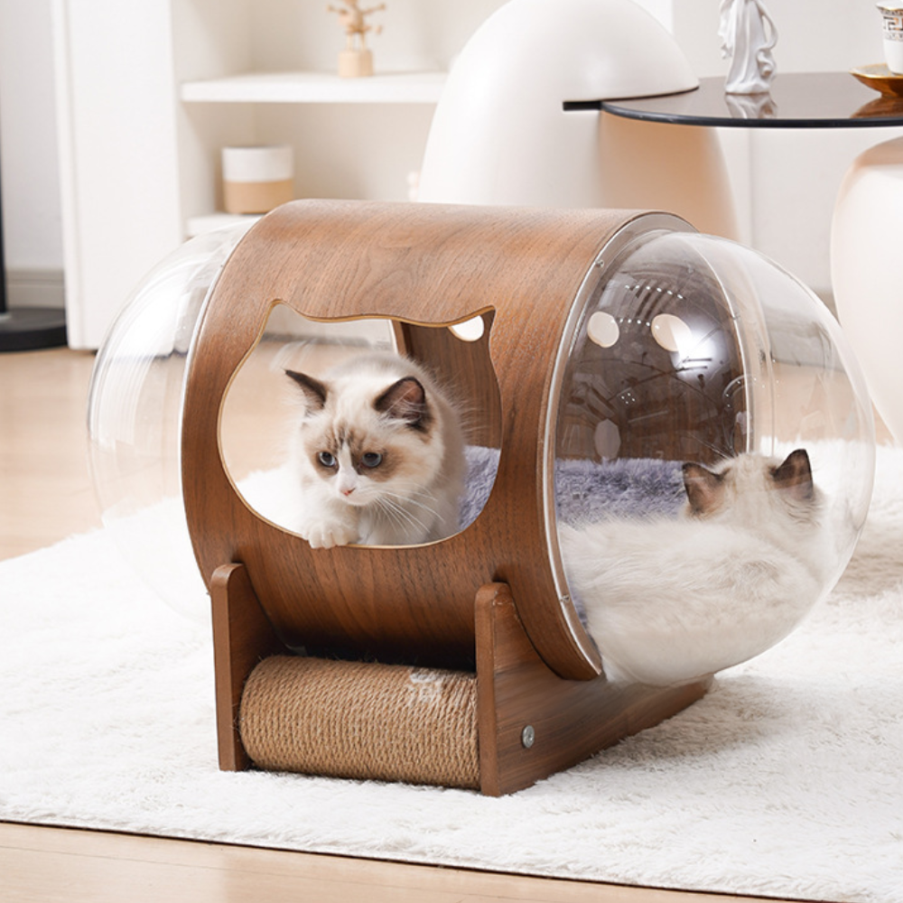 Natural Wood Cat Scratcher Cozy Cat Bed