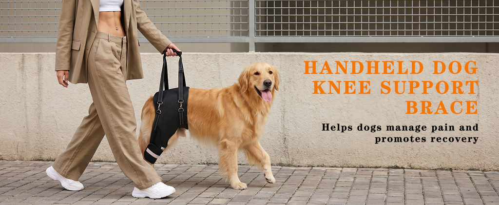 Dog Knee Braces & Dog Leg Braces for Back Leg with Carrying Handle, Reflective Adjustable Velcro Straps for ACL/CCL, Joint Pain and Luxating Patella—Reduces Back Leg Stress