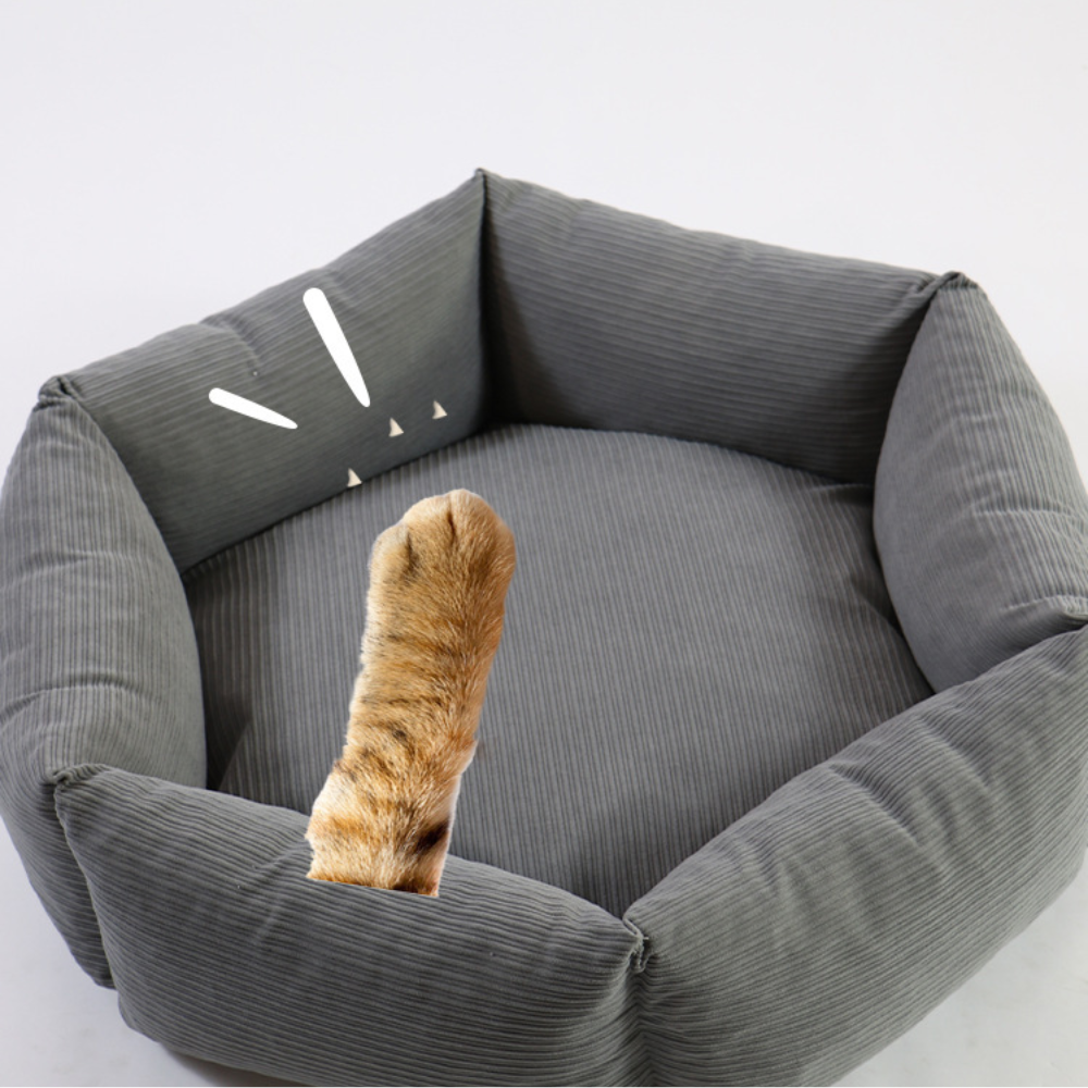 Hexagon Supportive Scratch-Resistant Chew-Proof Cat Bed