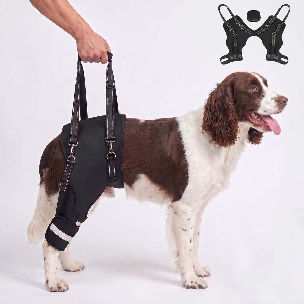 Dog Knee Braces & Dog Leg Braces for Back Leg with Carrying Handle, Reflective Adjustable Velcro Straps for ACL/CCL, Joint Pain and Luxating Patella—Reduces Back Leg Stress