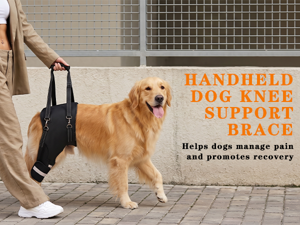Dog Knee Braces & Dog Leg Braces for Back Leg with Carrying Handle, Reflective Adjustable Velcro Straps for ACL/CCL, Joint Pain and Luxating Patella—Reduces Back Leg Stress