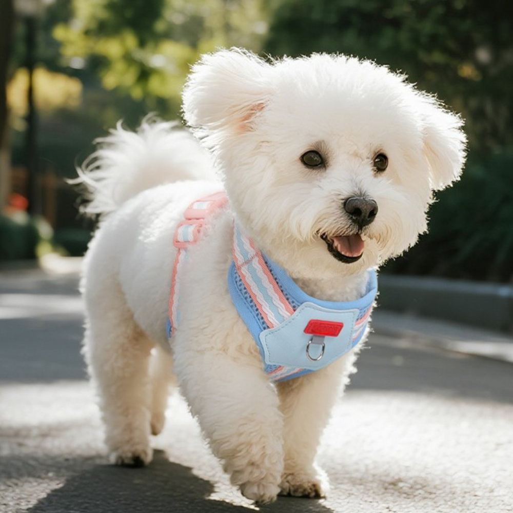 Lightweight Colorblock Dog Harness with Plush Monster Charm