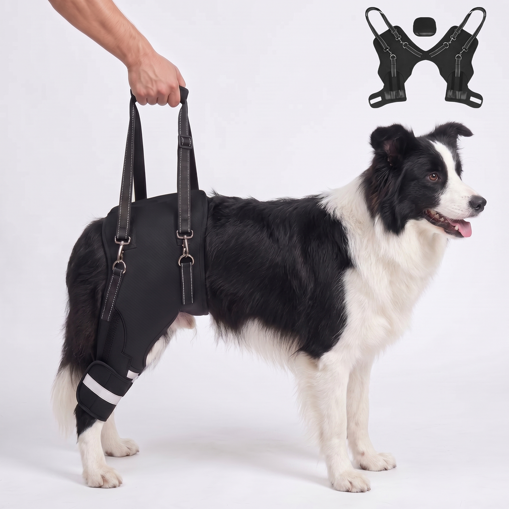 Dog Knee Braces & Dog Leg Braces for Back Leg with Carrying Handle, Reflective Adjustable Velcro Straps for ACL/CCL, Joint Pain and Luxating Patella—Reduces Back Leg Stress