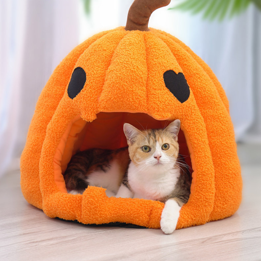 Halloween Pumpkin Washable Cat Bed