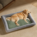 Memory Foam with Plush Cover – Anti-Slip, Orthopedic Comfort Dog Bed
