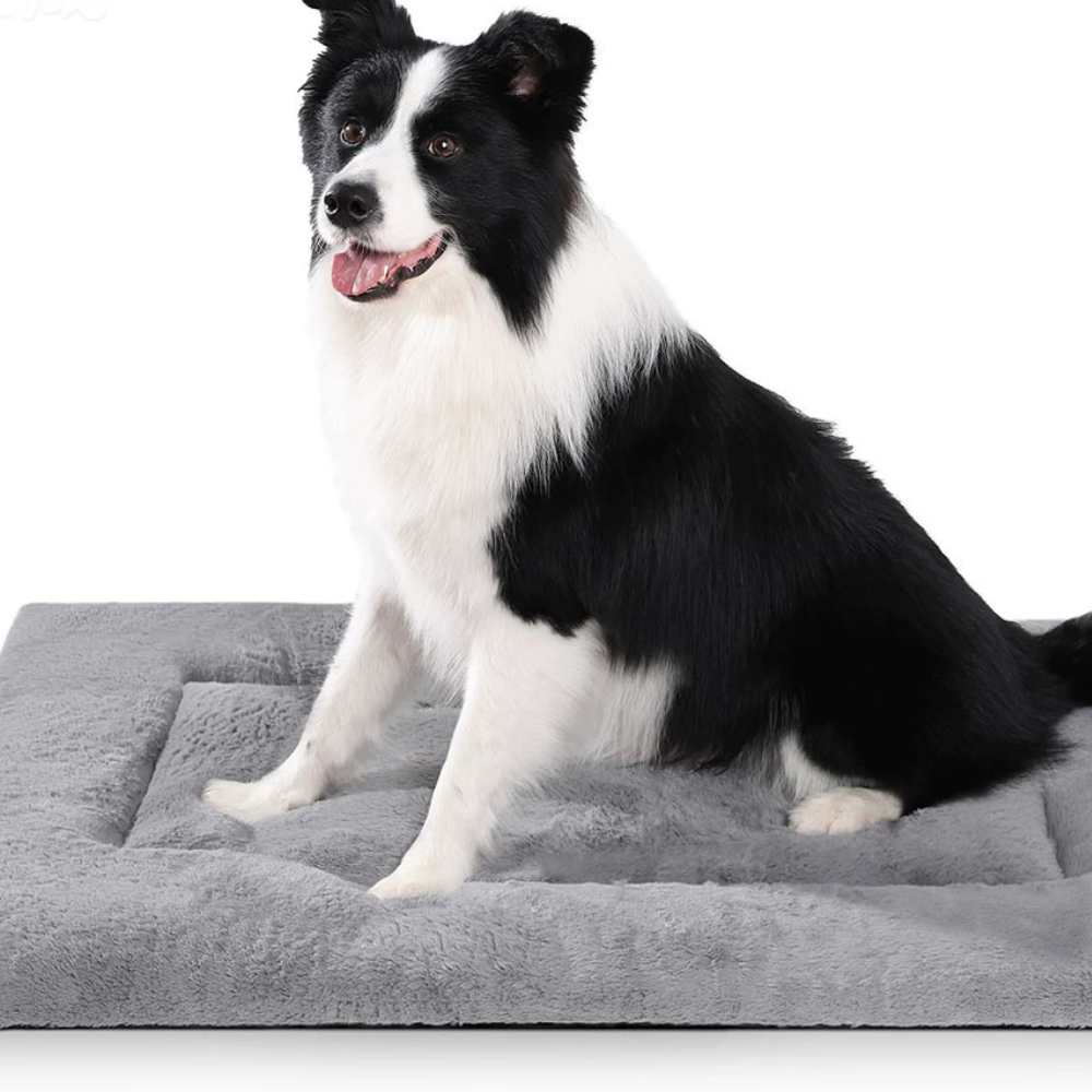 Cloud Anti-Slip Warm Soft Fluffy Gray Dog Bed