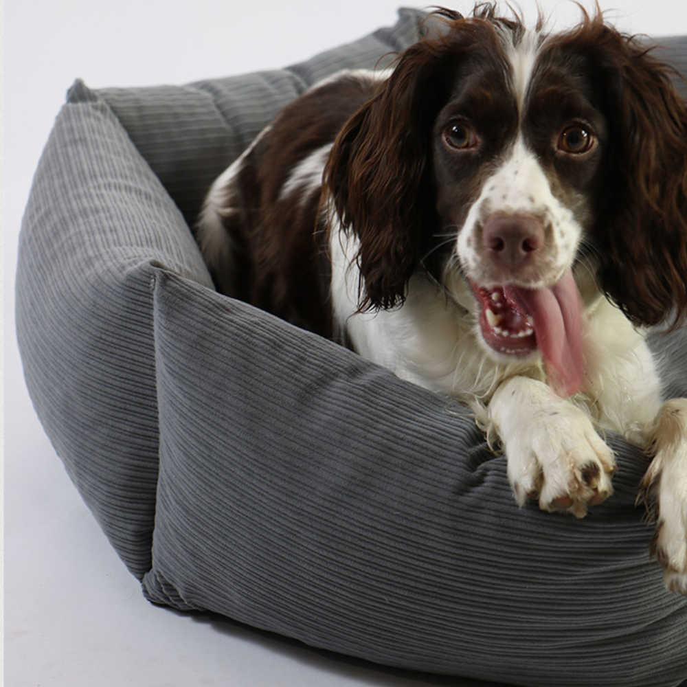 Hexagon Supportive Scratch-Resistant Chew-Proof Cat Bed