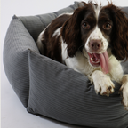 Hexagon Supportive Scratch-Resistant Chew-Proof Cat Bed