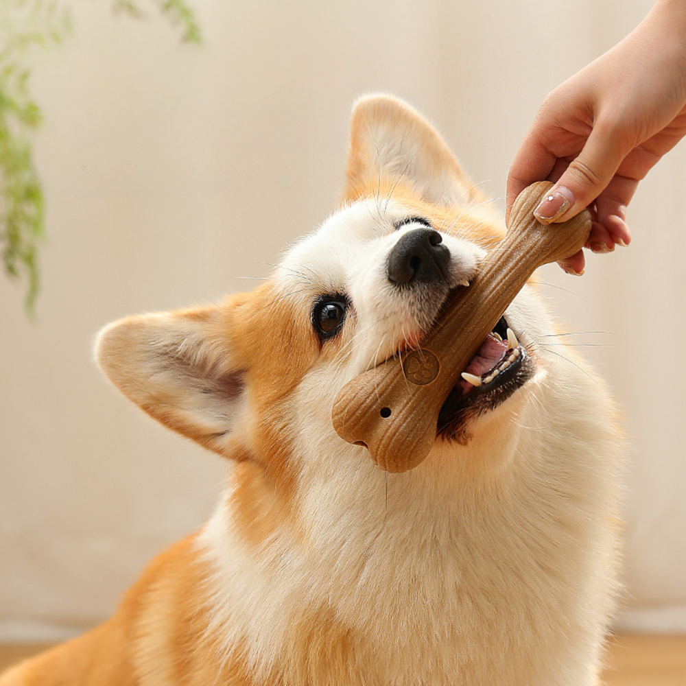 Natural Pine Wood Dog Chew Toy