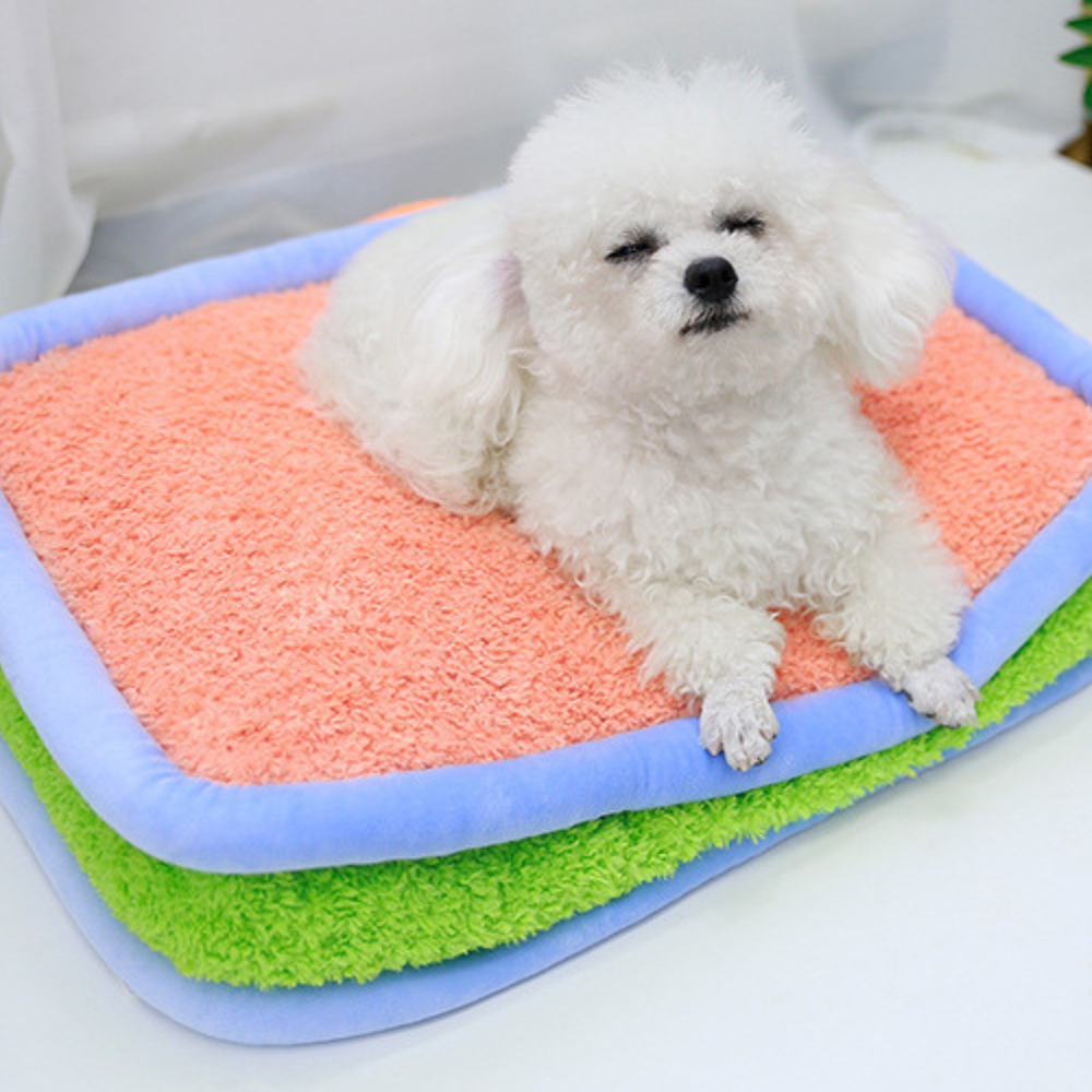 Dopamine Color Plush Dog Bed Washable and Cozy