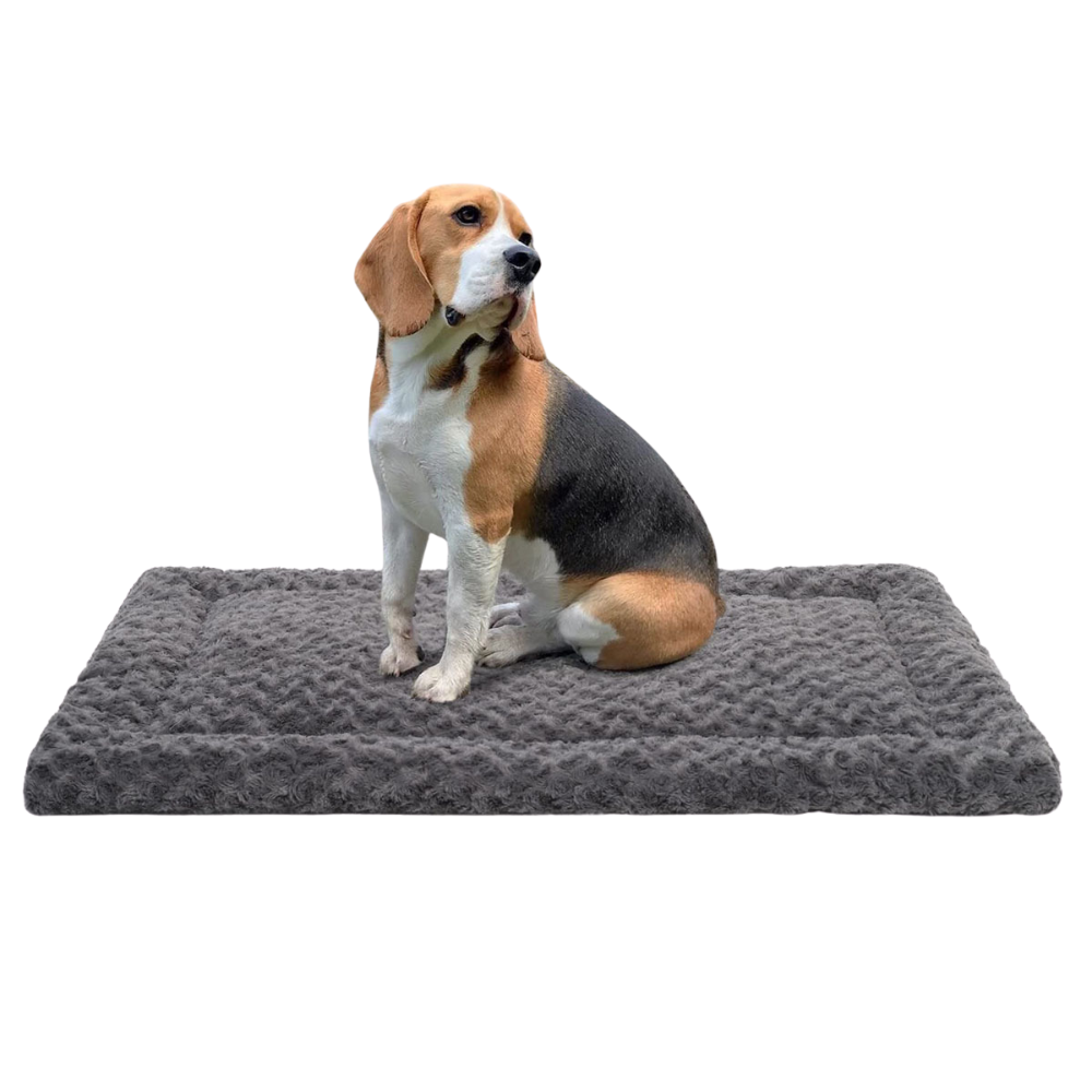 Scratch-Resistant Rose Plush Dog Bed