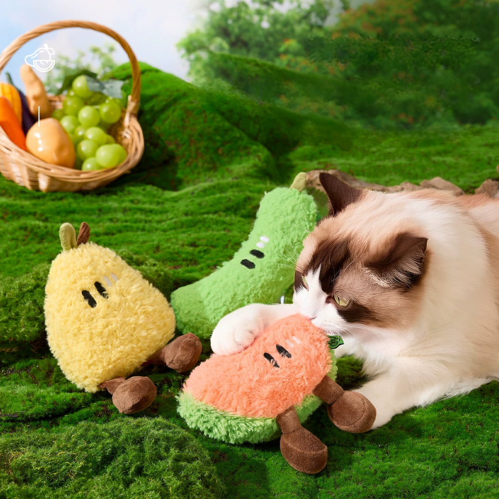 Catnip Plush Fruit Cat Toys | Healthy Green Play Toy