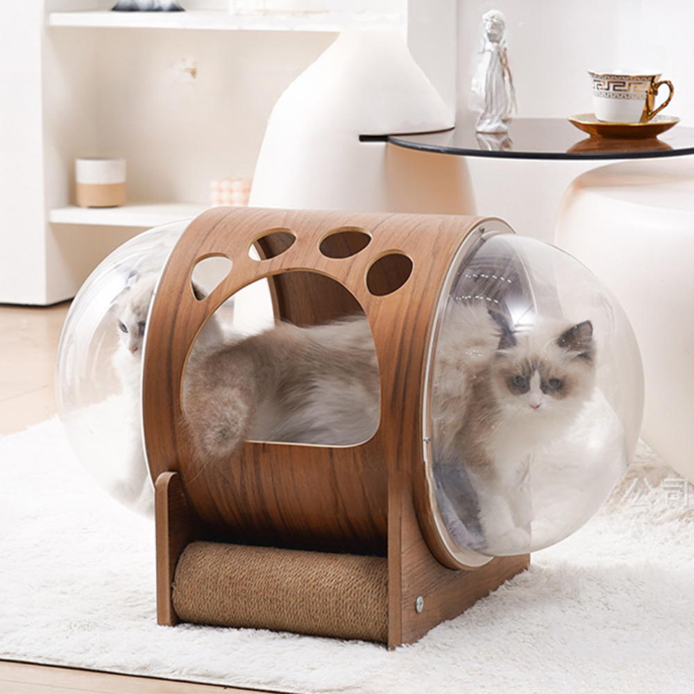 Natural Wood Cat Scratcher Cozy Cat Bed