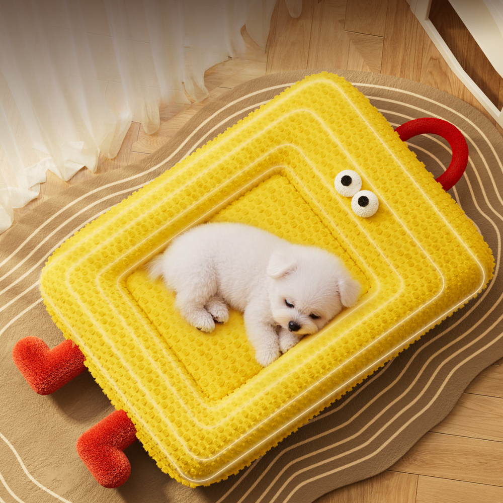 Memory Foam Thickened Orthopedic, Warm & Comfortable Dog Bed