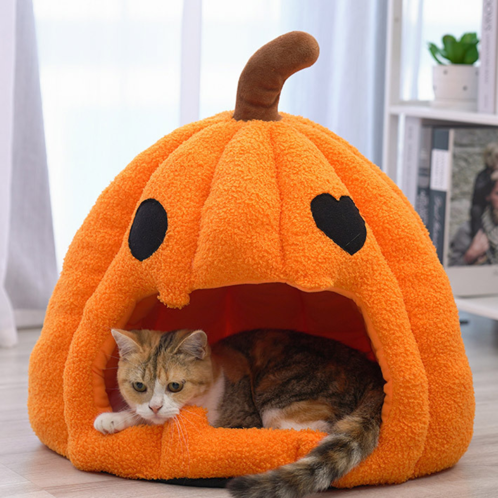 Halloween Pumpkin Washable Cat Bed