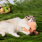 Catnip Plush Fruit Cat Toys | Healthy Green Play Toy