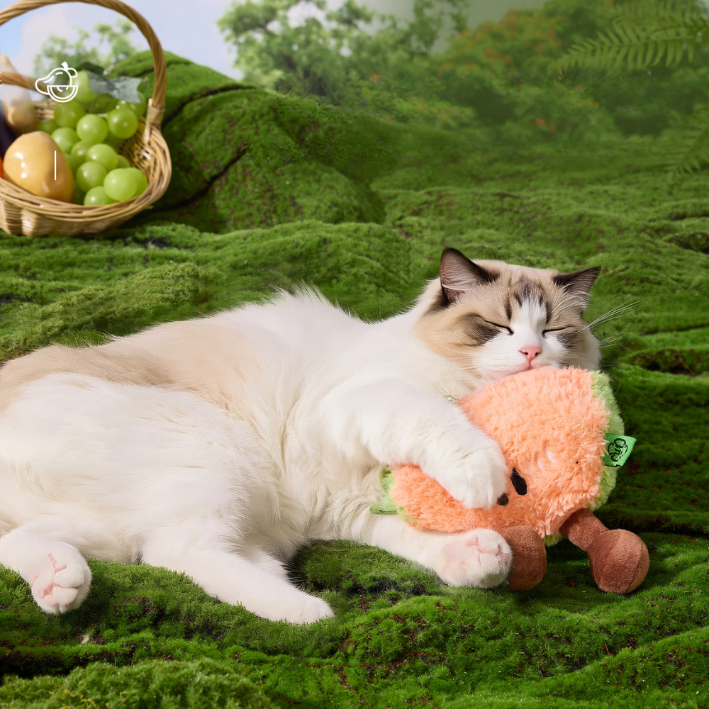 Catnip Plush Fruit Cat Toys | Healthy Green Play Toy