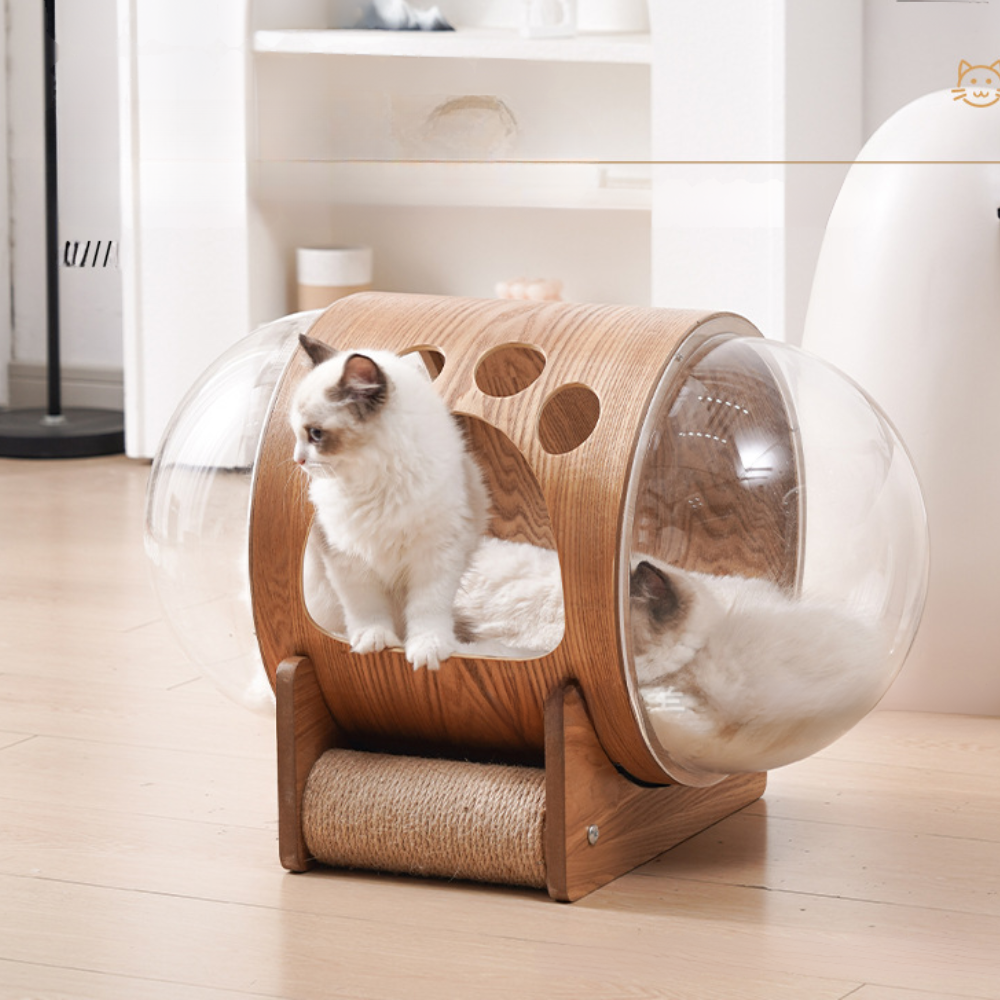 Natural Wood Cat Scratcher Cozy Cat Bed