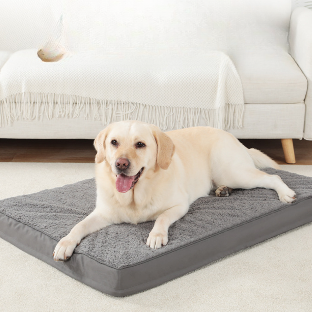 Durable Scratch-Resistant Rose Plush Dog Bed