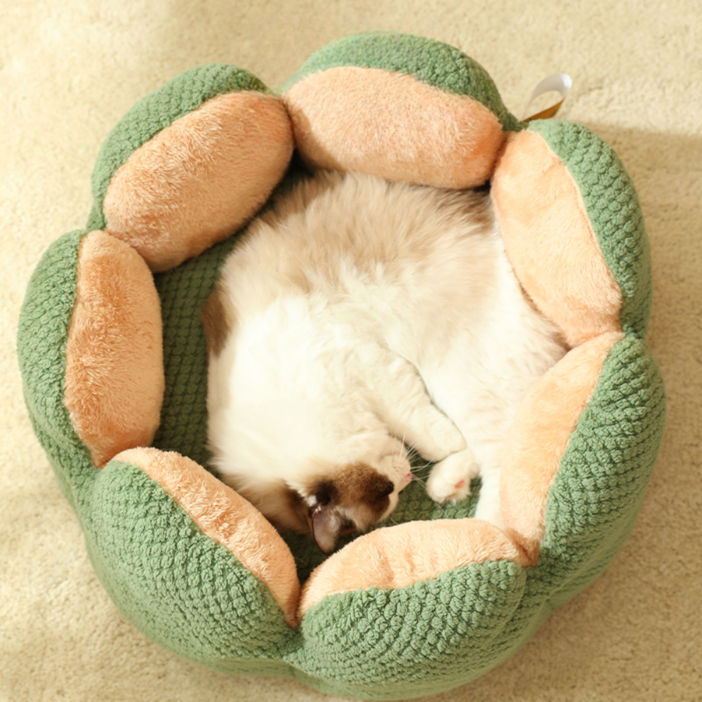 Woven Cactus – Cozy Knitted Design for Deep Sleep Cat Bed