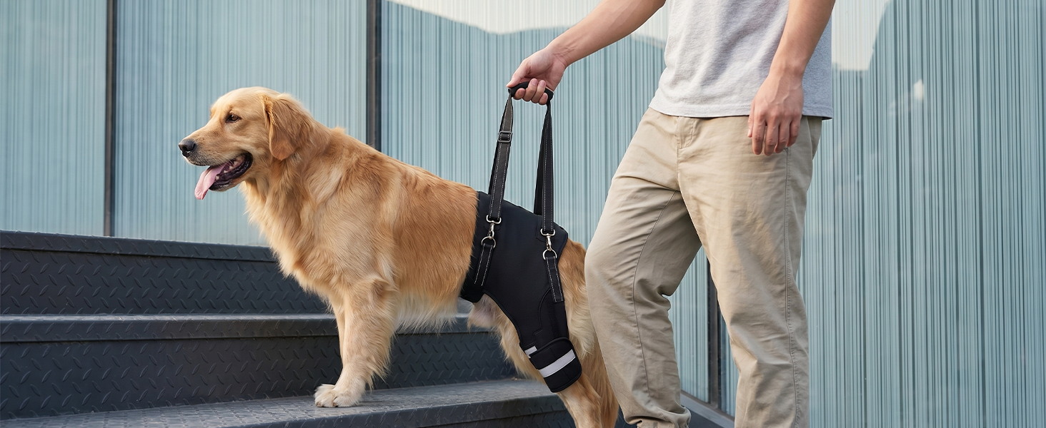 Dog Knee Braces & Dog Leg Braces for Back Leg with Carrying Handle, Reflective Adjustable Velcro Straps for ACL/CCL, Joint Pain and Luxating Patella—Reduces Back Leg Stress