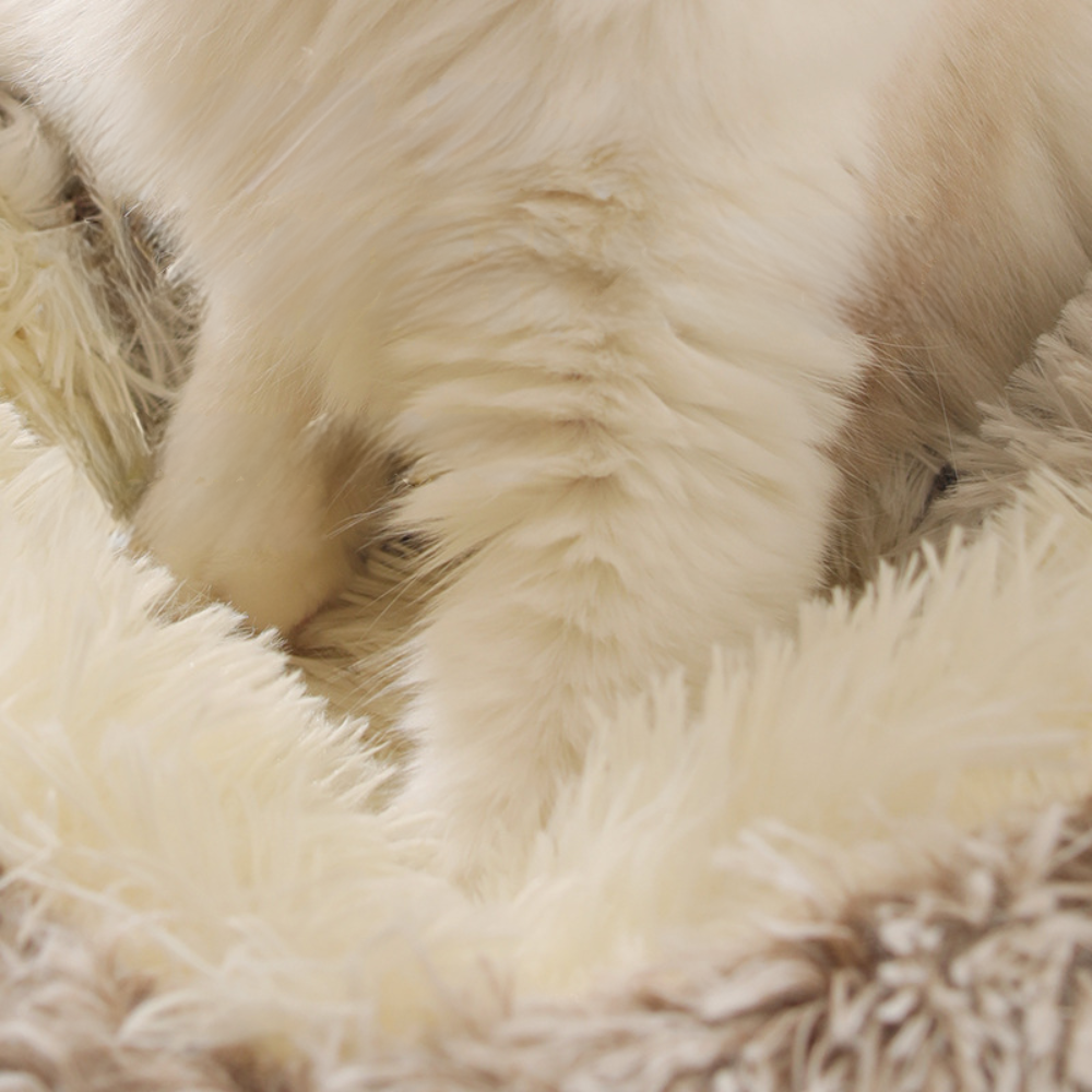 Long Plush Soft & Cozy Fluffy Nest for Deep Sleep Cat Bed