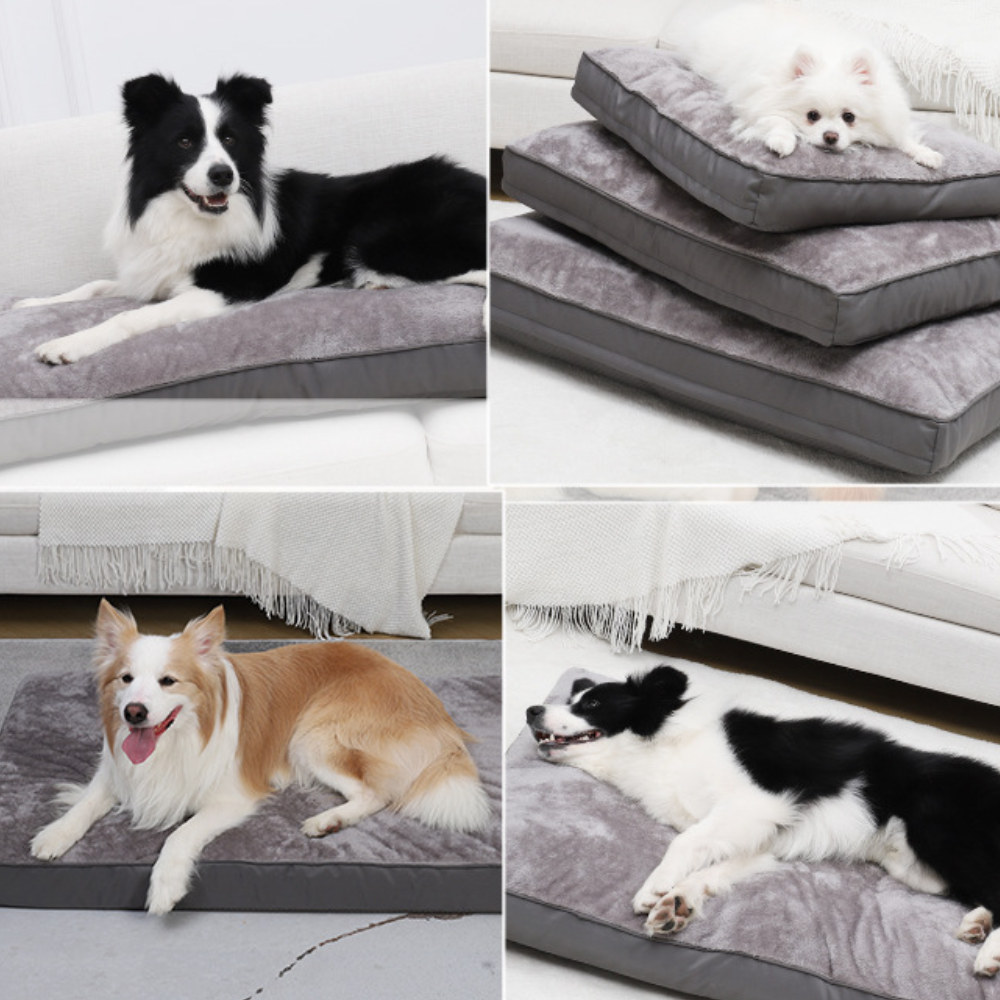 Edge Waterproof Soft Cushion Dog Bed