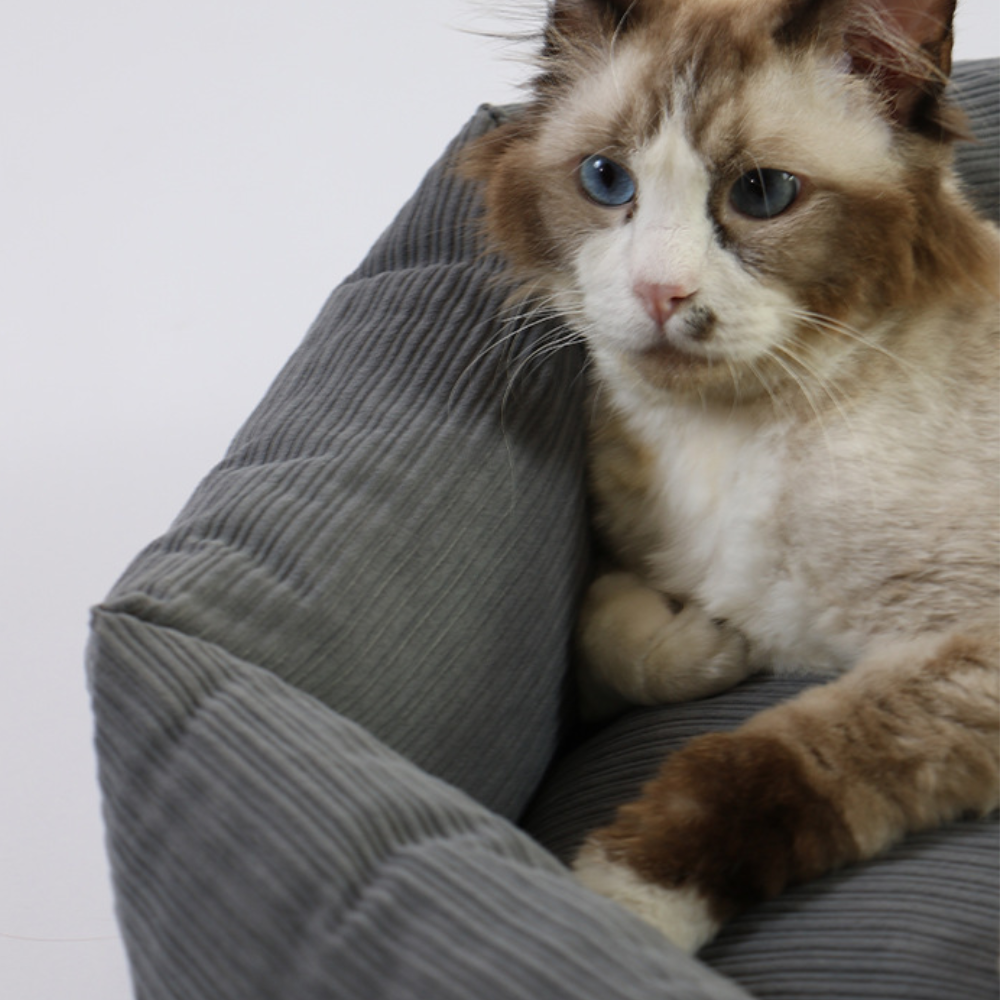 Hexagon Supportive Scratch-Resistant Chew-Proof Cat Bed