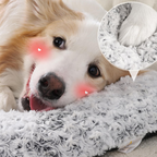 Scratch-Resistant Rose Plush Dog Bed