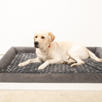 Waterproof Memory Foam Plush Dog Bed