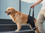 Dog Knee Braces & Dog Leg Braces for Back Leg with Carrying Handle, Reflective Adjustable Velcro Straps for ACL/CCL, Joint Pain and Luxating Patella—Reduces Back Leg Stress