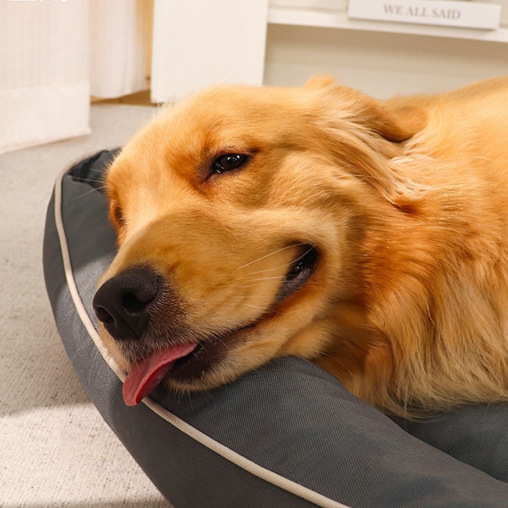 Waterproof Anti-Slip Chew-Resistant Cooling Dog Bed