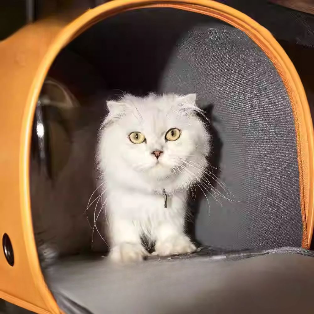 Space Capsule Pet Travel Bag