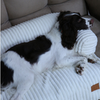 Sofa Thin Cushions Customizable Colors Large Dog Bed