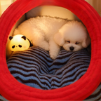 Cartoon Cozy Plush Striped Worm Shape Dog Cat Bed