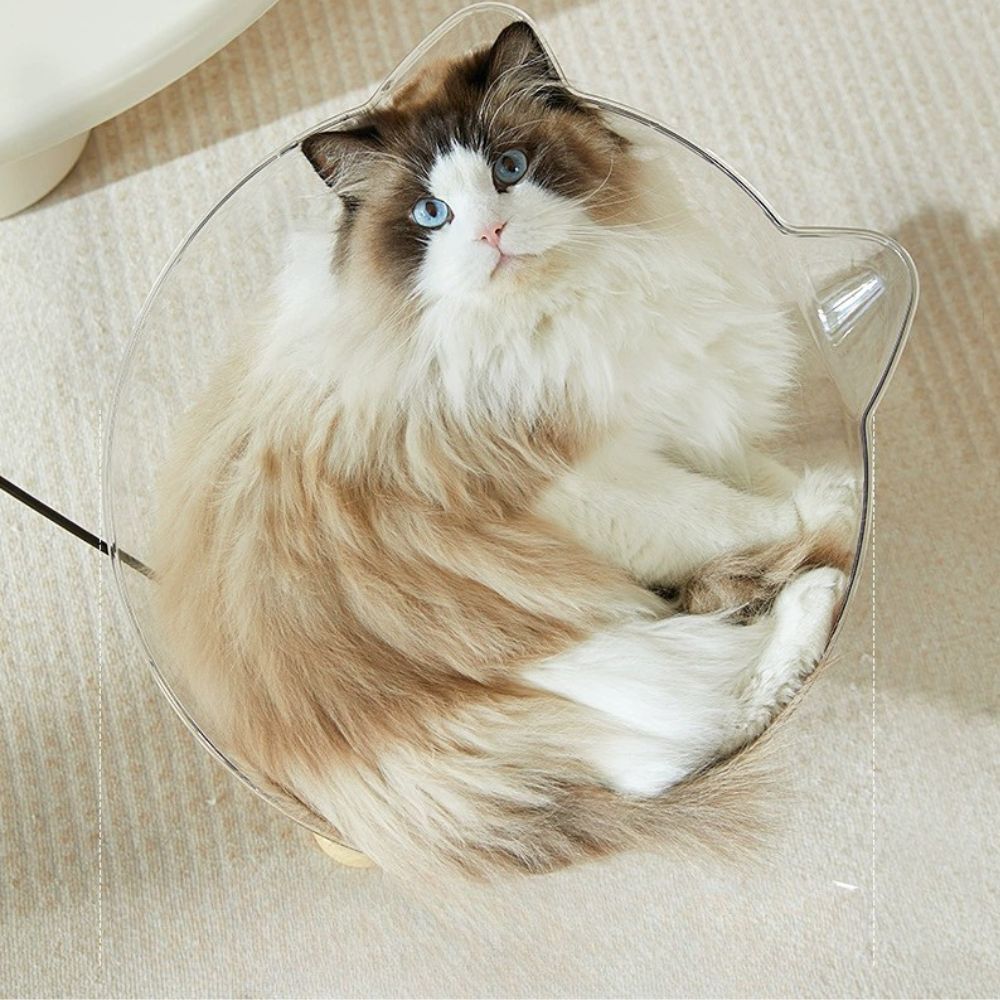 360° Transparent Space Capsule Cat Bed Large Comfort Design