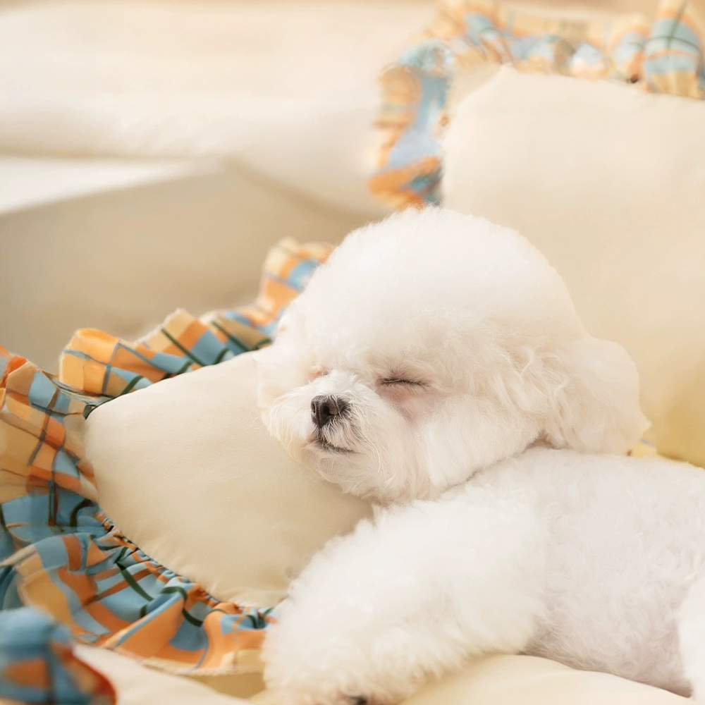 All-Season Cotton Pet Sofa Bed for Dogs and Cats