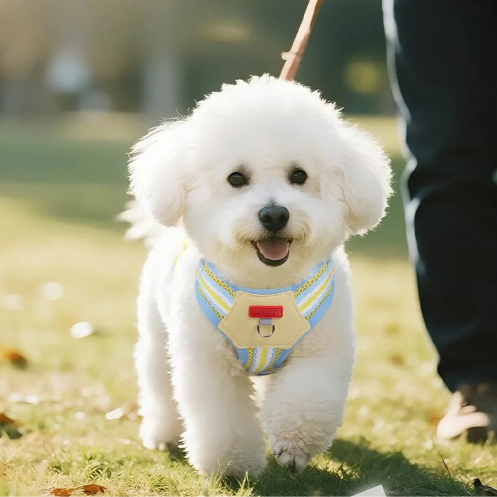 Lightweight Colorblock Dog Harness with Plush Monster Charm