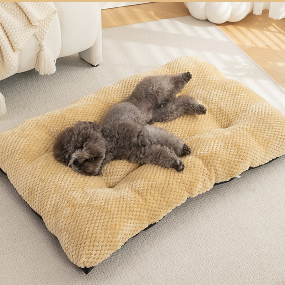 Plush Pineapple Grid Pillow Dog Bed