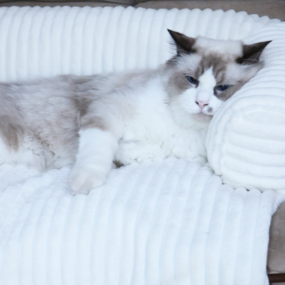 Sofa Thin Cushions Customizable Colors Large Dog Bed