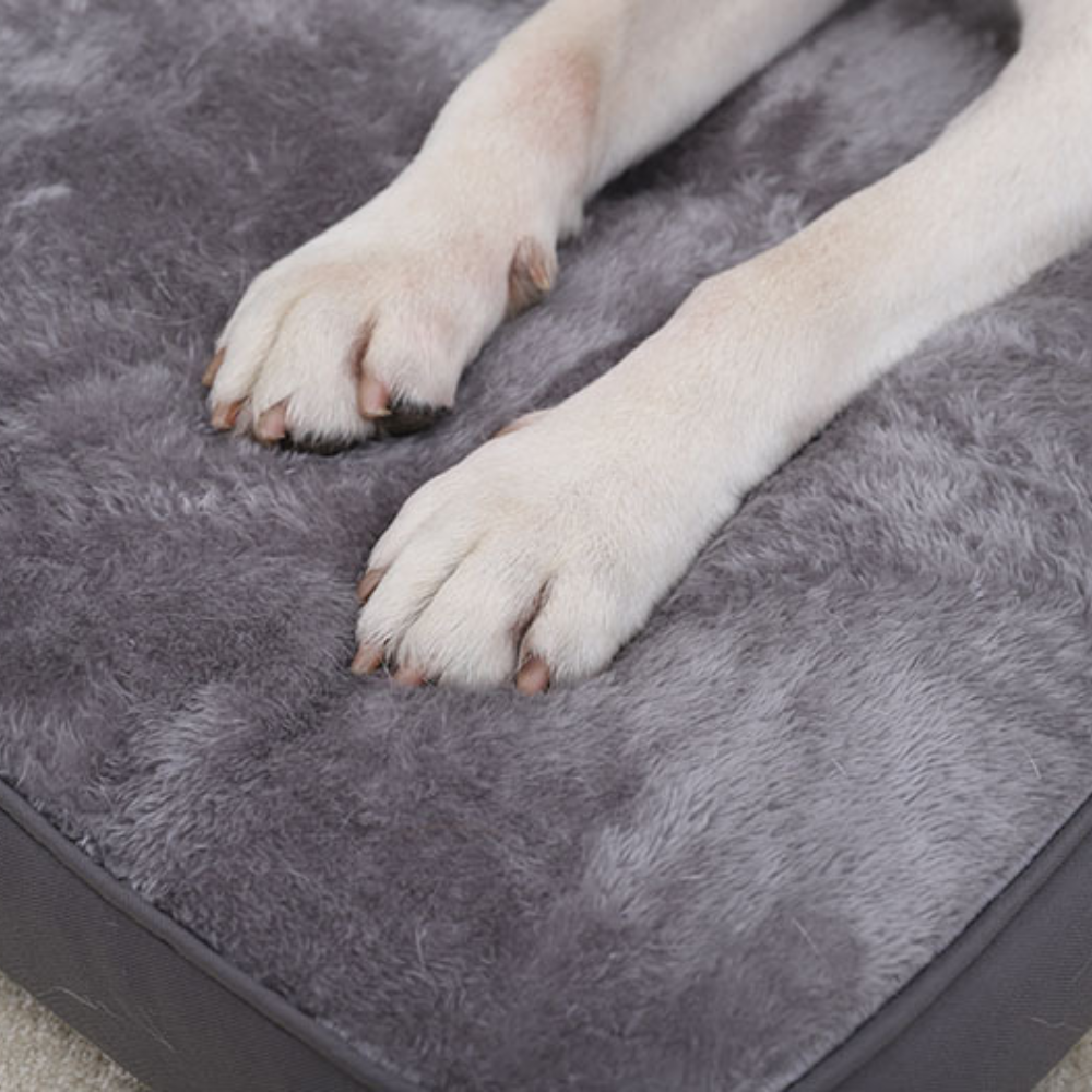 Durable Plush Washable Scratch-Resistant Large Dog Bed
