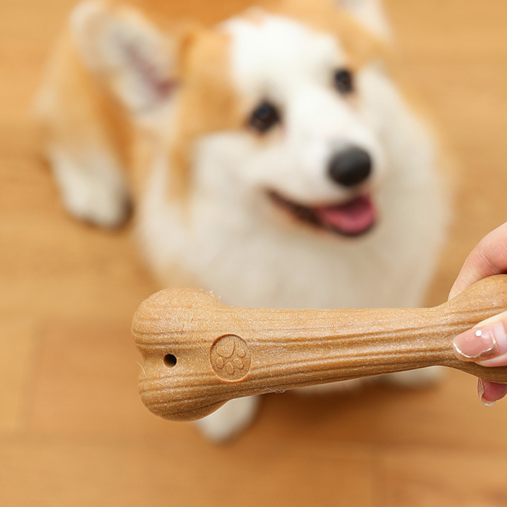 Natural Pine Wood Dog Chew Toy