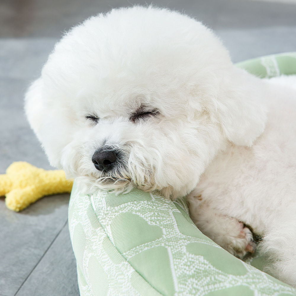 3D Breathable Cooling Breathable Orthopedic Dog Bed